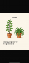 IMG_3693.png