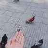 1752566397633.gif