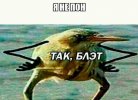 IMG_9840.jpeg