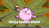 IMG_9843.jpeg
