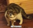 IMG_9848.jpeg