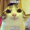 images (1) (16).jpeg