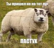 IMG_9852.jpeg