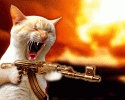 IMG_9912.gif