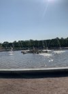 IMG_8171.jpeg