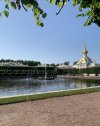 IMG_8175.jpeg