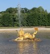 IMG_8177.jpeg