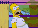 IMG_1992.gif