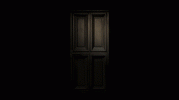 VideoToGif_GIF.gif