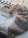 20250720_172352.jpg
