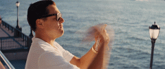 IMG_1311.gif