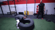 1753092523065.gif 1753092523065.gif