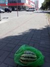 1753522008738..jpg