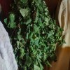 IMG20250726220633.jpg