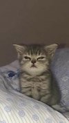IMG_1056.jpeg