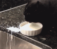 IMG_0084.gif IMG_0084.gif