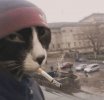 IMG_0095.jpeg