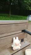 IMG_1107.jpeg