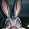 IMG_0112.jpeg