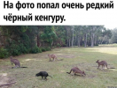 2025-07-30_08-31-56.png