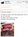 IMG_2769.jpeg IMG_2769.jpeg