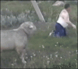 IMG_1516.gif