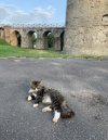 IMG_8443.jpeg