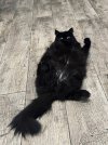 IMG_1303.jpeg