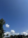 1754231931166.jpeg