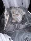 IMG_2961.jpeg