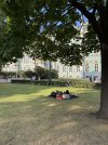 IMG_3078.jpeg
