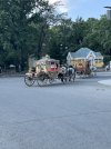 IMG_3070.jpeg