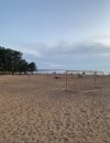 IMG_8532.jpeg IMG_8532.jpeg