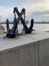 IMG_8551.jpeg IMG_8551.jpeg