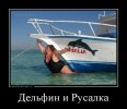 demotivatorium_ru_delfin_i_rusalka_166021.jpg demotivatorium_ru_delfin_i_rusalka_166021.jpg