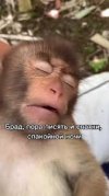 IMG_0219.jpeg