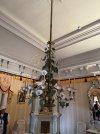 IMG_3397.jpeg
