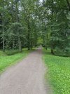 IMG_3506.jpeg