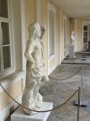 IMG_3600.jpeg