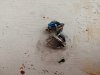 IMG_20190428_151904.jpg