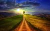 lonely-tree-path-clouds-sky.jpeg