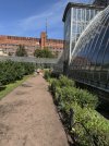 IMG_3967.jpeg