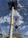IMG_4019.jpeg