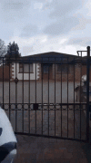 1754680373899.gif