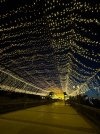 IMG_20250808_222841_074.jpg