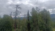 IMG20250811105610.jpg