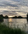 IMG_8953.jpeg
