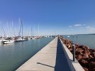 IMG_20250819_163734.jpg