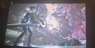 IMG_4598.jpeg IMG_4598.jpeg