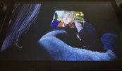 IMG_4621.jpeg